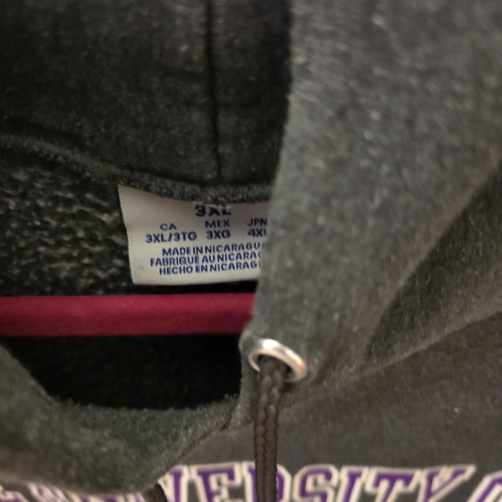 Champion University of Scranton Hoodie, Sz 3XL - Picture 2 of 2